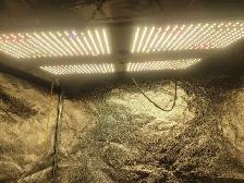 Grow Tent Complete Setup Cheap!! - Photo 4