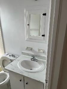 1 bedroom apt plus den - Photo 2