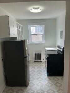 1 bedroom apt plus den - Photo 6