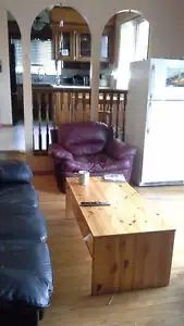 5 min Walk to Whitehorn Ctrain/ Near Sunridge Mall & Airport - Photo 4