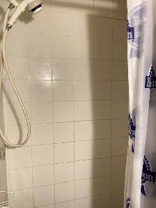 5 min Walk to Whitehorn Ctrain/ Near Sunridge Mall & Airport - Photo 7