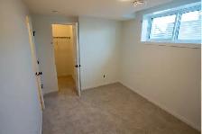 Brand New 1 Bed Basement Unit for Rent in Rosemont Area - Photo 3