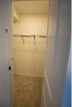 Brand New 1 Bed Basement Unit for Rent in Rosemont Area - Photo 4