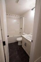 Brand New 1 Bed Basement Unit for Rent in Rosemont Area - Photo 5