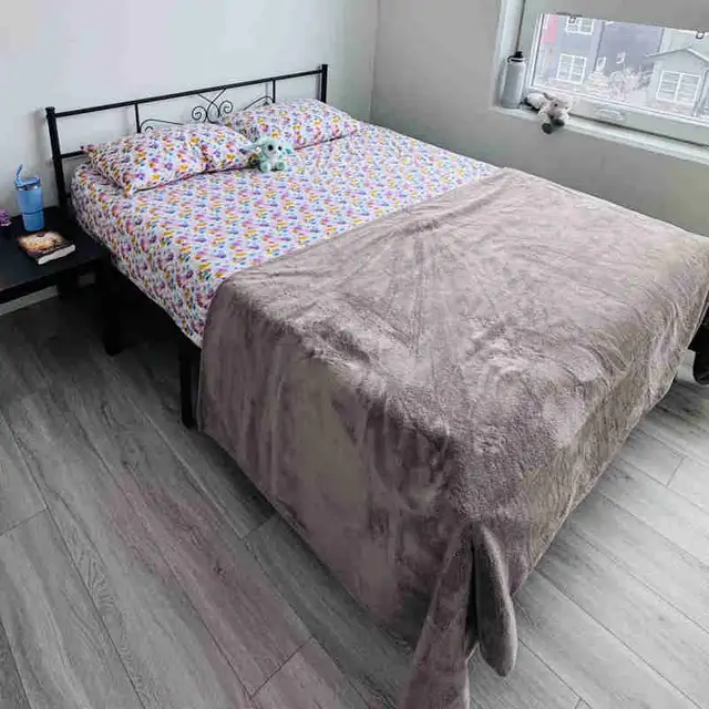 Bed Frame and Mattress