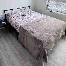 Bed Frame and Mattress