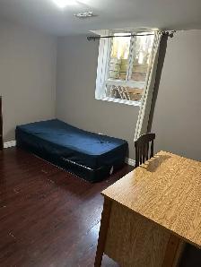 2 Bedroom Basement Apartment for Rent - Photo 10