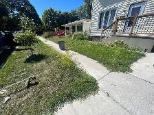 Lawn In Order – Affordable Lawn Mowing & Yard Care in Windsor - Photo 2