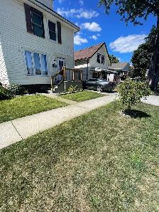 Lawn In Order – Affordable Lawn Mowing & Yard Care in Windsor - Photo 5