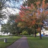 Room for girl in LASALLE full furnished all included wifi frige - Photo 3