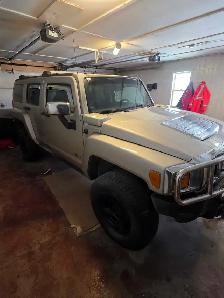 Cool hummer - Photo 2