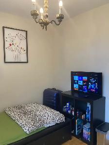 main floor room for rent - Photo 3