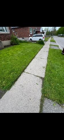 LAWN CARE SUMMER SPECIAL - Photo 2