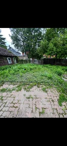 LAWN CARE SUMMER SPECIAL - Photo 3