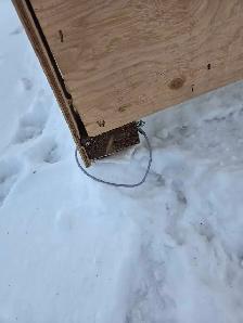 animal shelter - Photo 5