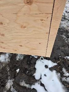 animal shelter - Photo 9