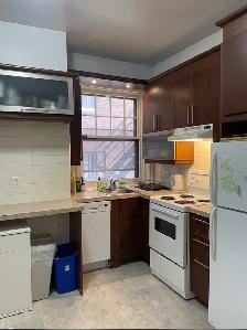 URGENT! - 3 Bedroom, 1 Bathroom Apartment Available for Summer - Photo 9