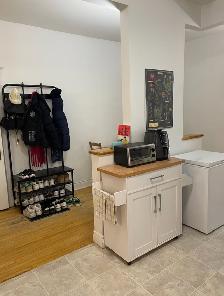 URGENT! - 3 Bedroom, 1 Bathroom Apartment Available for Summer - Photo 10