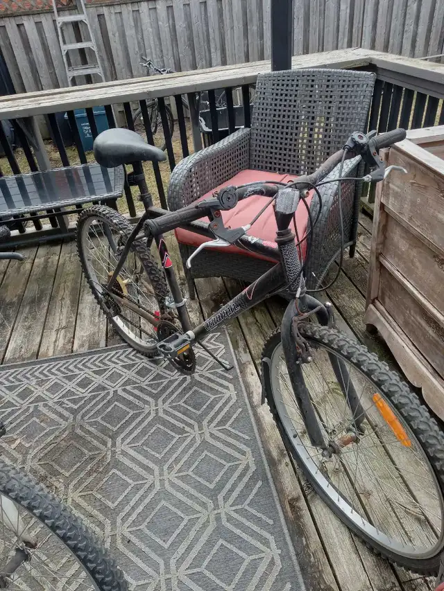 Mountain Bike x 2 & Kids Bikes & BMX