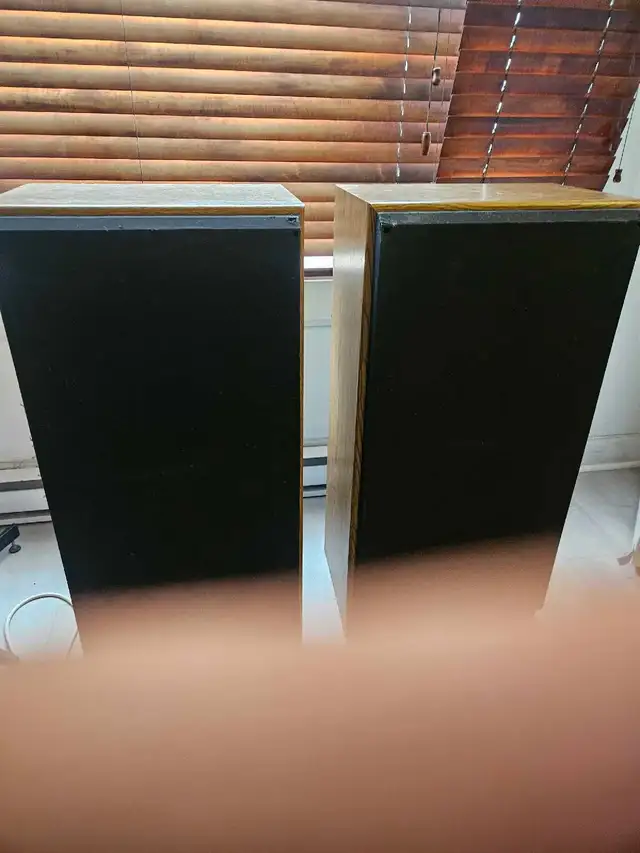 Colonne de sons Realistic