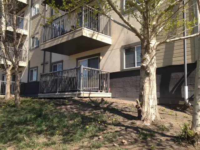 NICEST SUITE IN THE BUILDING - CHECK FOR YOURSELF!