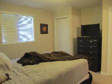 NICEST SUITE IN THE BUILDING - CHECK FOR YOURSELF! - Photo 6