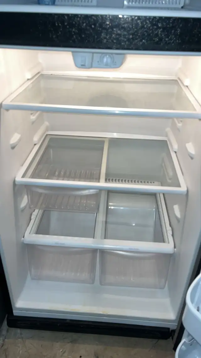 Frigidaire Stainless Stell 30" Refrigerator Fully Tested - Photo 3