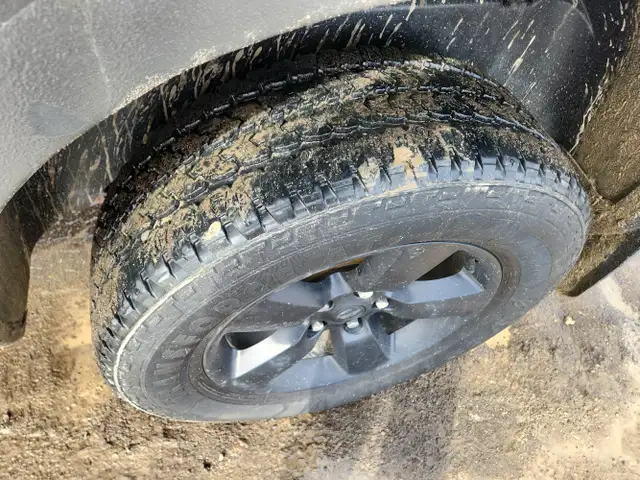 2009 Dodge Ram 1500 - Photo 9