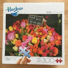 Casse-têtes / Puzzles (10 CT) – 300 pièces (no1er) - Photo 5