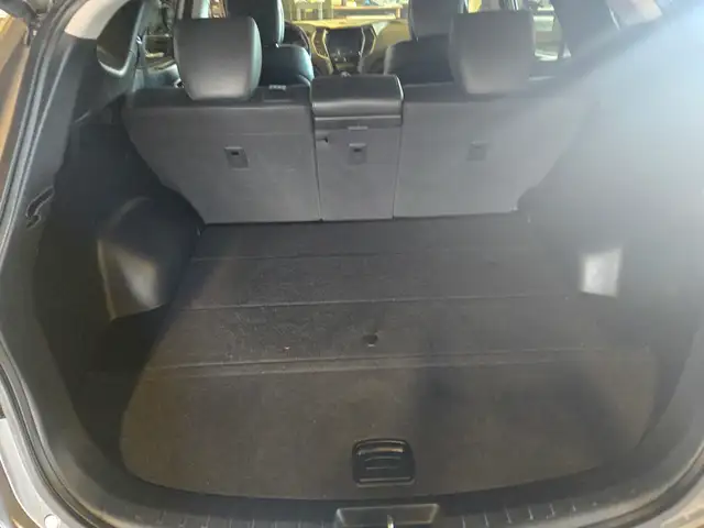 2016 Hyundai Santa FeLuxury | Local | Leather - Photo 19