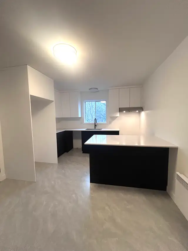 41/2 entièrement rénové à Granby - Photo 3