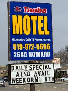 DAILY, WEEKLY AND MONTHLY - Photo 8