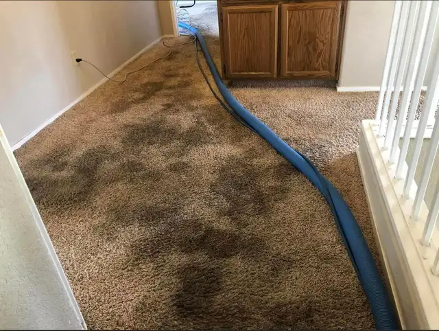 Professional House Carpet And Rug Cleaning In Affordable Price - Photo 2