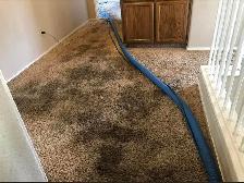 Professional House Carpet And Rug Cleaning In Affordable Price - Photo 2