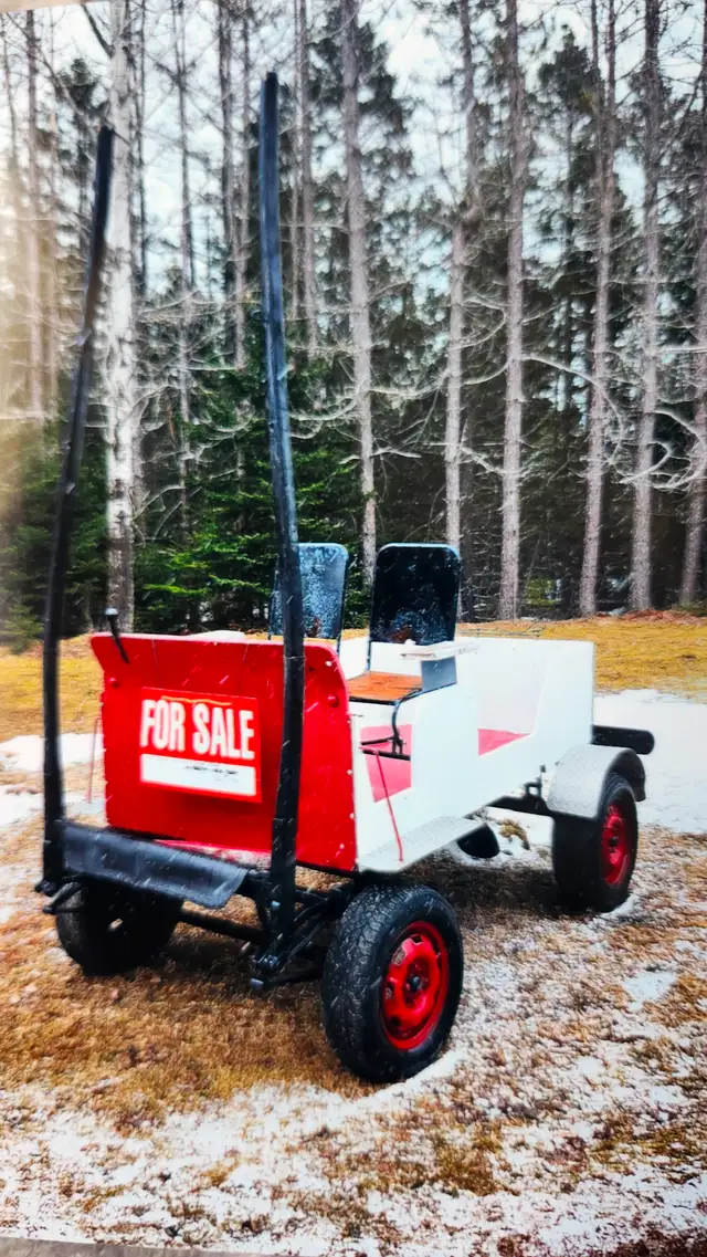 Handmade custom horse drawn carriage $2500 ph.902 565-7430