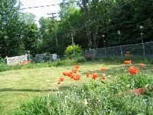 Utilities included,Large room, Furnished, Free Wifi--ALL FEMALE - Photo 4