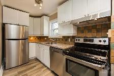 1 Bedroom For Rent- Sandy Hill! - Photo 4