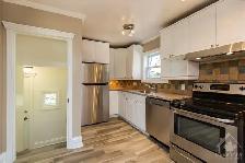 1 Bedroom For Rent- Sandy Hill! - Photo 5