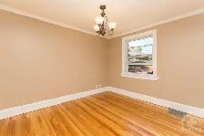 1 Bedroom For Rent- Sandy Hill! - Photo 8