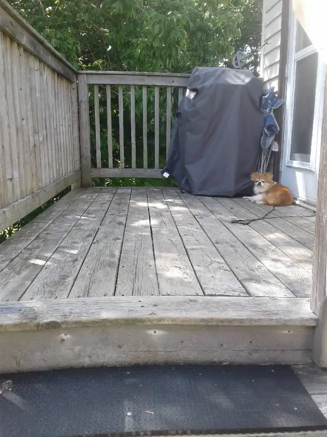 June 1st   1-Bedroom Apt New Germany - Photo 3