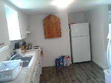 June 1st   1-Bedroom Apt New Germany - Photo 10