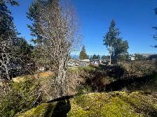 Ocean & Mountain View Lot – Nearly 1 Acre – North Nanaimo $525K - Photo 2