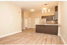 Large 2 Bedroom apartment in Modern Building - Photo 2