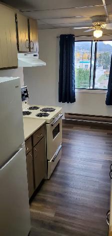 MAIN FLOOR – 1 BDRM – CAT FRIENDLY - Photo 2