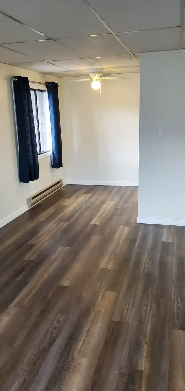 MAIN FLOOR – 1 BDRM – CAT FRIENDLY - Photo 3