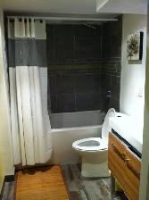 Large 7 1/2   finished basement and yard near Jean-Talon market - Photo 4