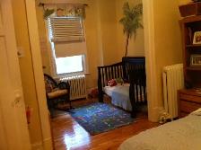 Large 7 1/2   finished basement and yard near Jean-Talon market - Photo 5