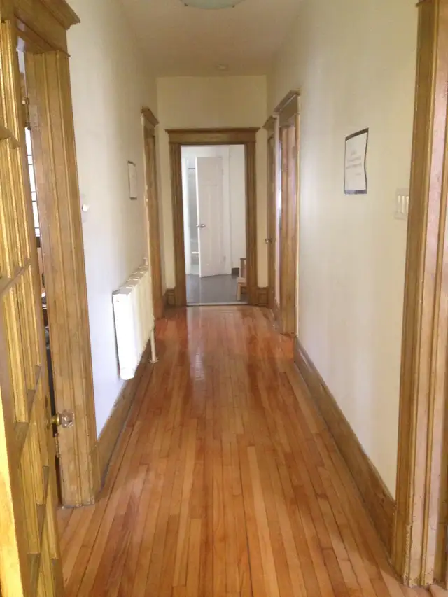 Large 7 1/2   finished basement and yard near Jean-Talon market - Photo 8