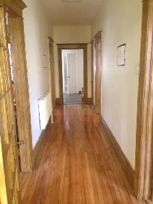 Large 7 1/2   finished basement and yard near Jean-Talon market - Photo 8