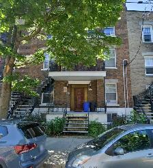Large 7 1/2   finished basement and yard near Jean-Talon market - Photo 10